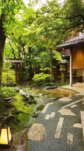 #温泉 #山中温泉 #旅館 #懐石料理 #胡蝶