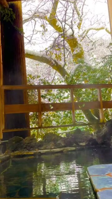 #温泉 #山中温泉 #胡蝶 #北陸新幹線 #露天風呂