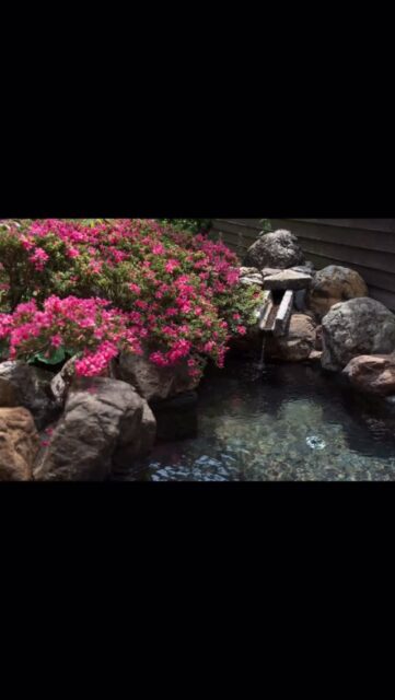 #山中温泉 #旅館 #胡蝶 #温泉 #懐石料理