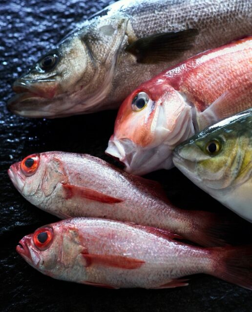 目の澄んだ一匹一匹を、
料理長が手に取り、確かめる。

鱗の輝き、身の締まり、香り。
市場に並んだ魚の中から選ばれるのは、
ほんの一部です。

「今日はこれ」と決まる瞬間から、
その日にしか出せない一皿が生まれます。

同じ魚でも、獲れた海域で味が変わり、
同じ日でも、時間帯で表情が変わる。
だからこそ毎日、目で見て、触れて、選び抜く。

派手さはありません。
でも、口に運んだ瞬間に分かる違いがあります。

胡蝶で味わう一皿は、
その日一番の魚に出会えた証です。

ーーーーーーーーーーー

山中温泉 胡蝶
@kochou_yamanaka

ーーーーーーーーーーー

#料理旅館 #加賀懐石